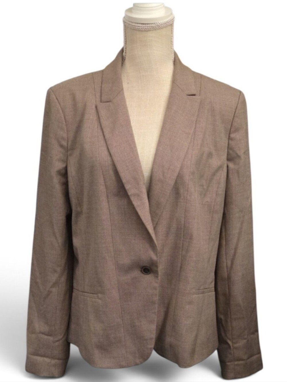 Ann Taylor Light Taupe Single-Button Blazer